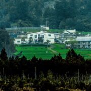 Gloriavale teacher Vigilant Standtrue sentenced for assaults on boys